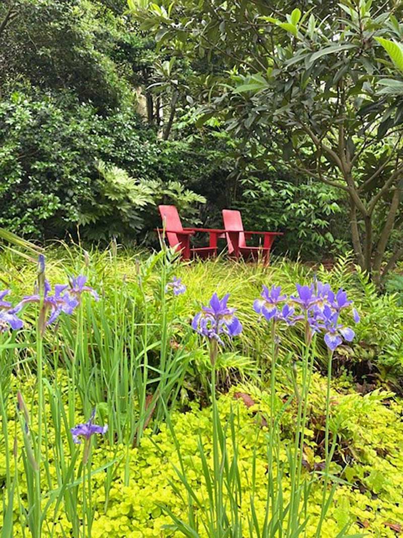 A serene outdoor seating area with red chairs surrounded by lush greenery and purple flowers.